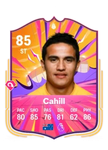 Tim Cahill