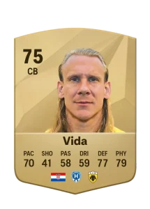 Domagoj Vida