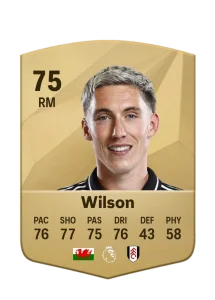 Harry Wilson