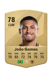 Joao Gomes