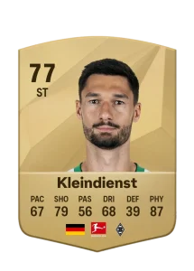 Tim Kleindienst