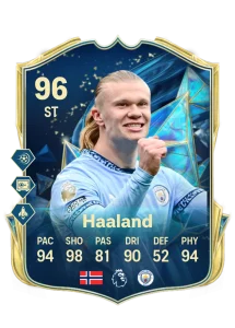 Erling Haaland
