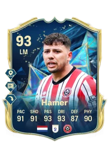 Gustavo Hamer